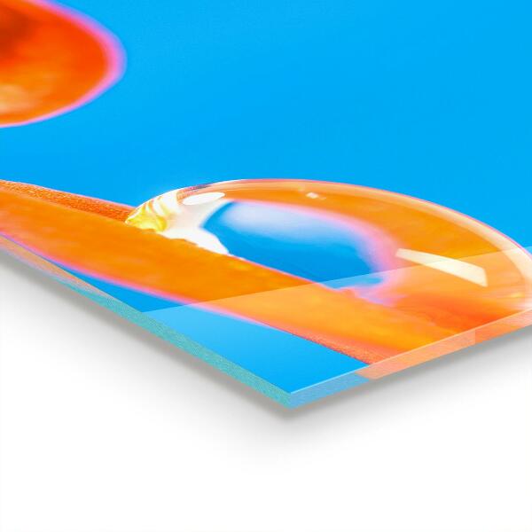 Skleněný panel Oranžový květ