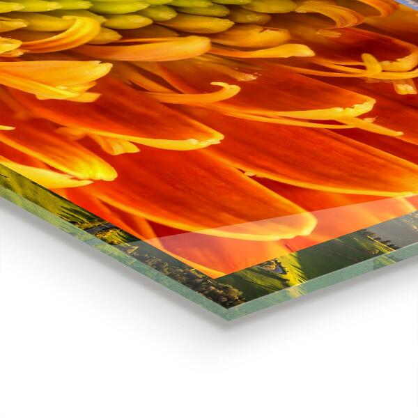 Skleněné obklady do kuchyně Gerbera květ pomeranč