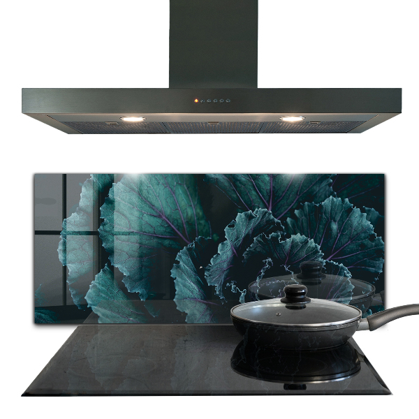 Skleněné obklady do kuchyně Listy zelí tmavě zelené