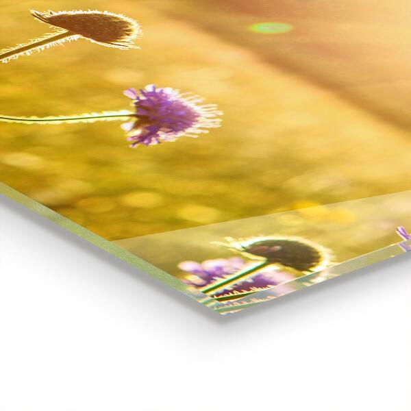 Skleněné obklady do kuchyně Letní kvetoucí louka