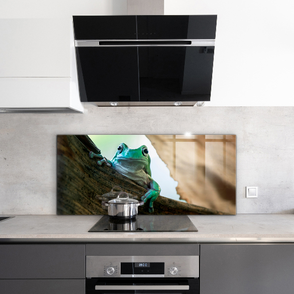 Skleněný panel Zvědavý žába na listu