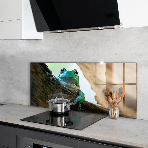 Skleněný panel Zvědavý žába na listu