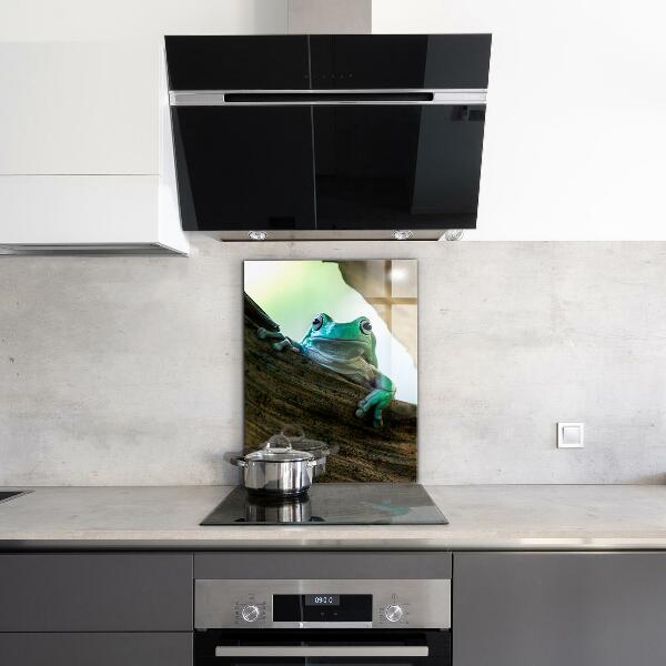 Skleněný panel Zvědavý žába na listu