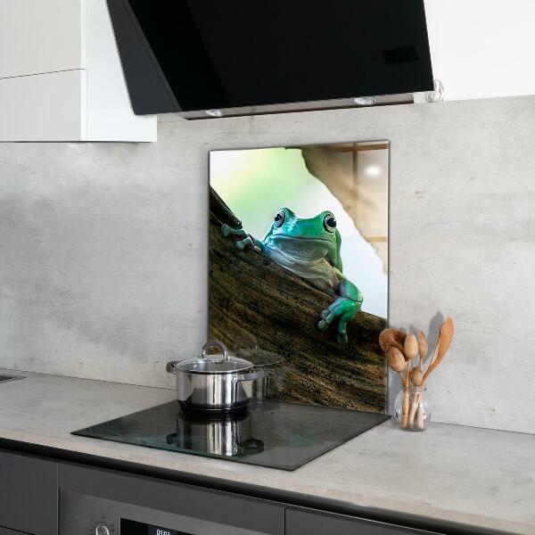 Skleněný panel Zvědavý žába na listu