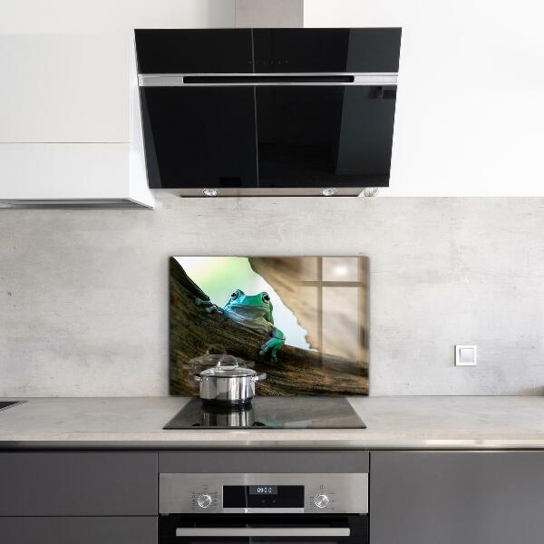 Skleněný panel Zvědavý žába na listu