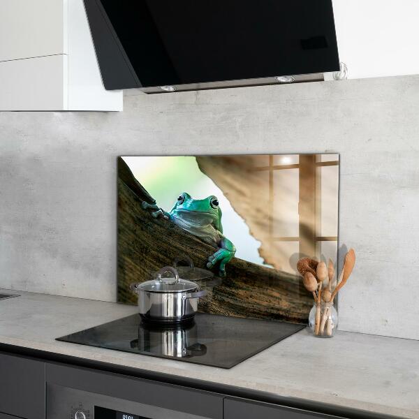 Skleněný panel Zvědavý žába na listu