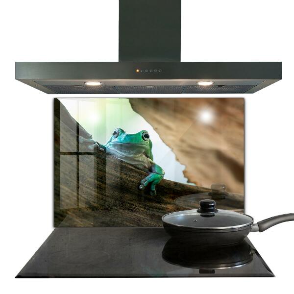 Skleněný panel Zvědavý žába na listu