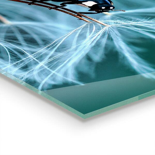 Skleněný panel Beruška červený brouk