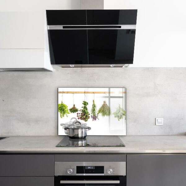 Skleněný panel Sušené bylinky síla přírody