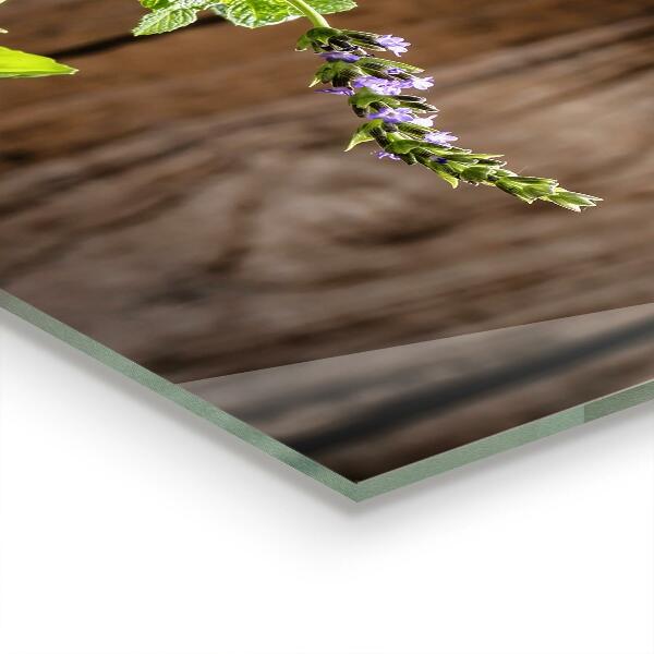 Skleněný panel Kamenná malta koření