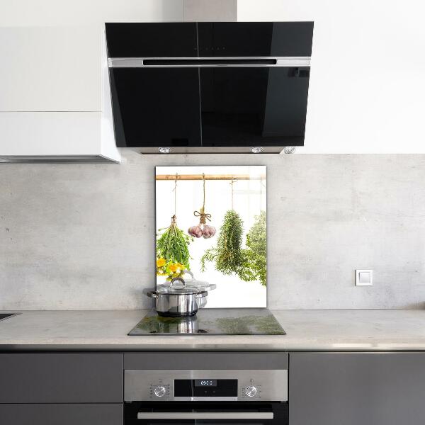 Skleněný panel Sušené byliny bylinný lék