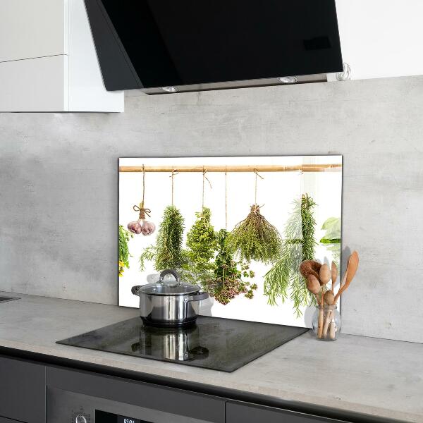 Skleněný panel Sušené byliny bylinný lék