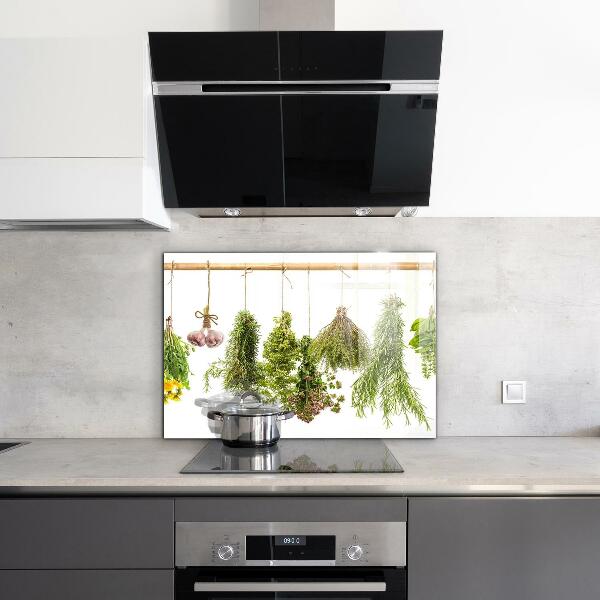 Skleněný panel Sušené byliny bylinný lék