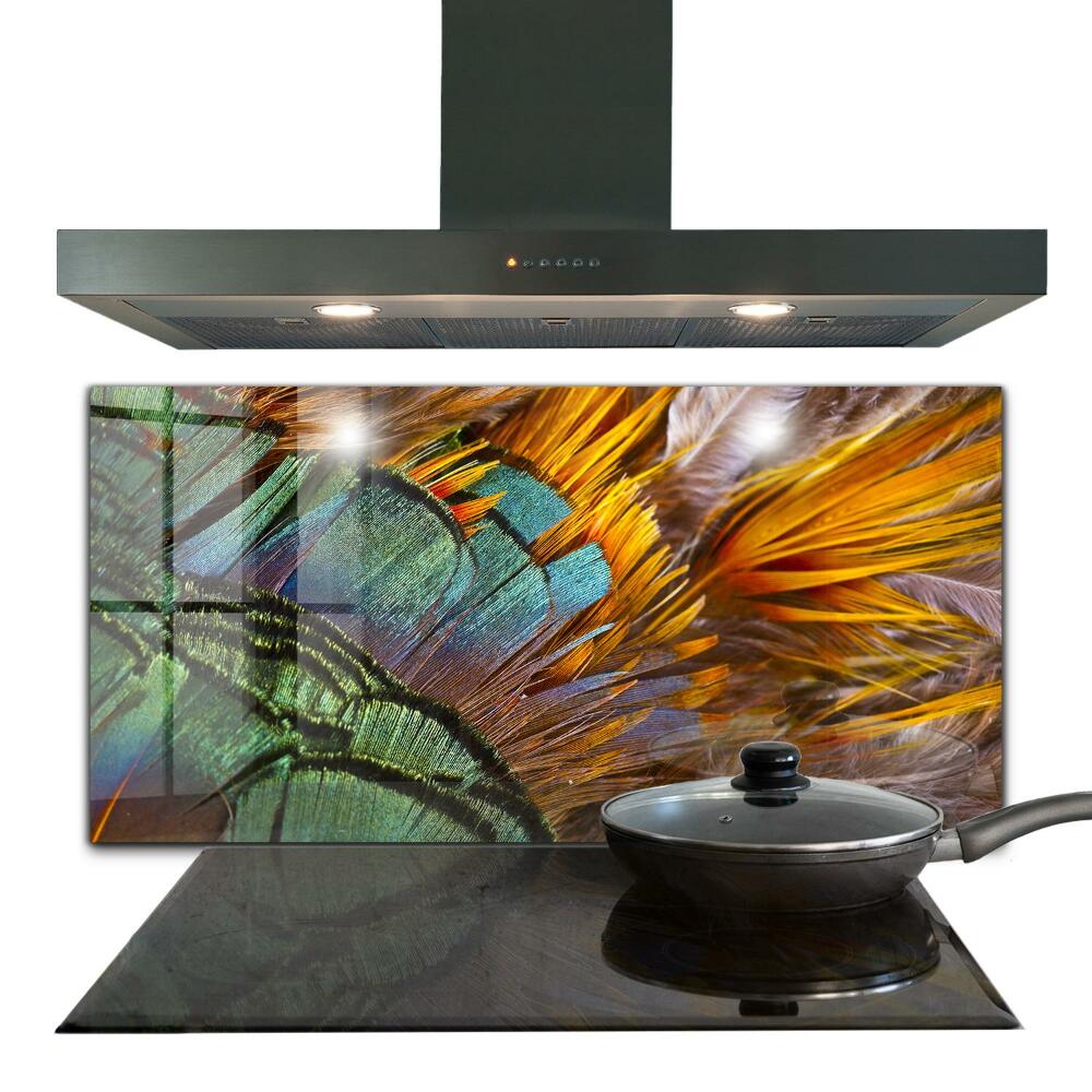 Kuchyňský skleněný panel Exotické peří