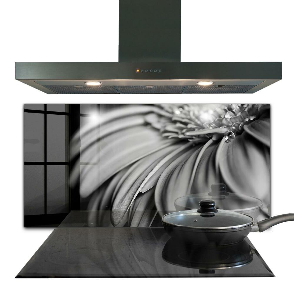 Skleněné obklady do kuchyně Černobílá fotografie gerber