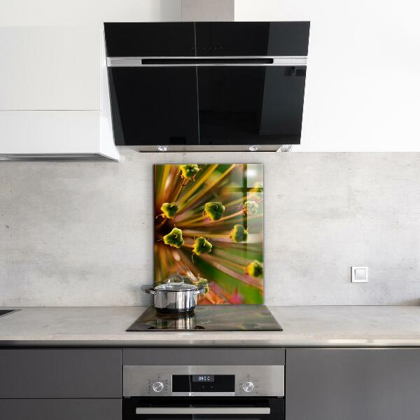 Skleněné obklady do kuchyně Makro fotografie květin