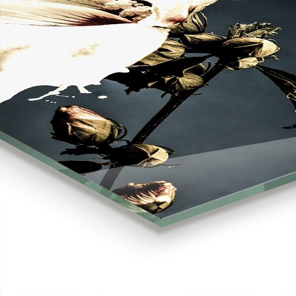 Skleněné obklady do kuchyně Abstraktní bílý květ