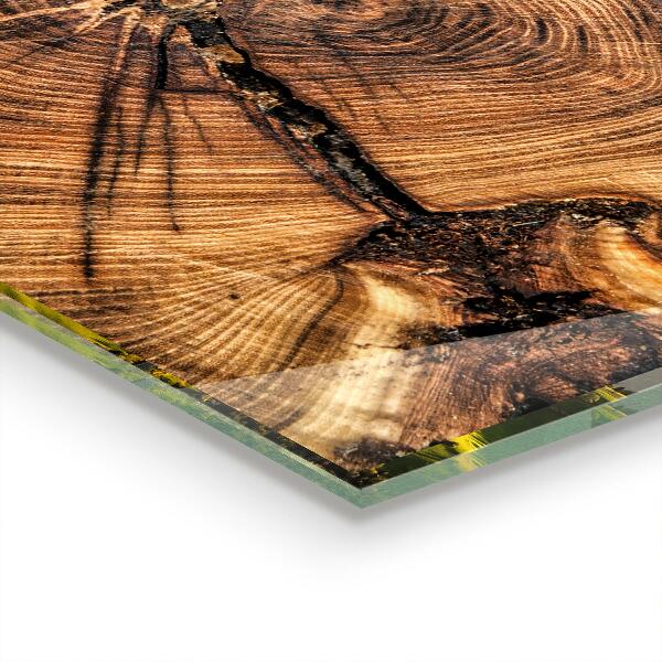 Kuchyňský skleněný panel Textura kufru