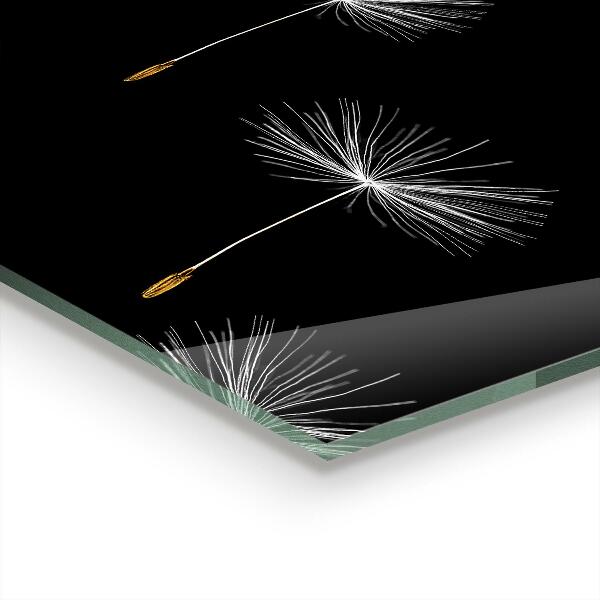 Skleněné obklady do kuchyně Pampelišky ve větru