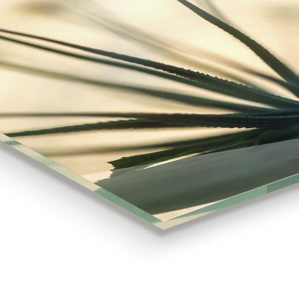 Skleněné obklady do kuchyně Krásná jemná pampeliška