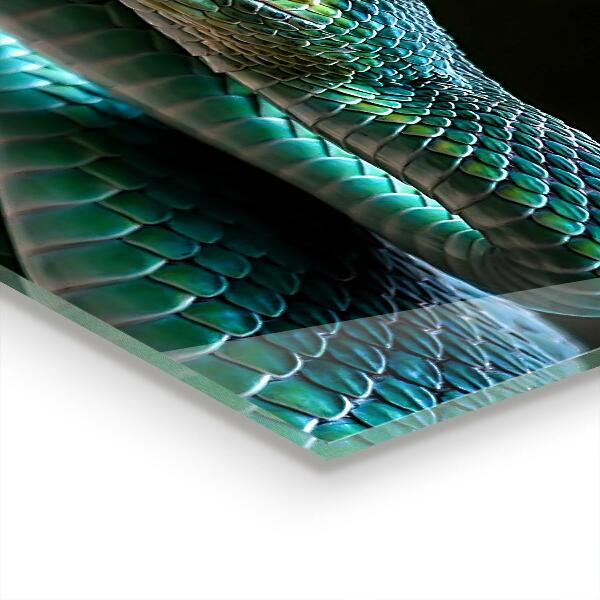 Skleněný panel Snake wildlife