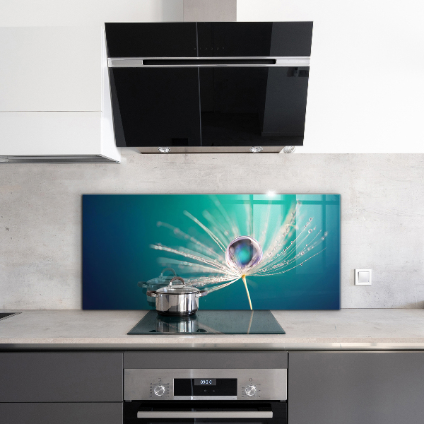 Skleněný panel Pampeliška s kapkou rosy