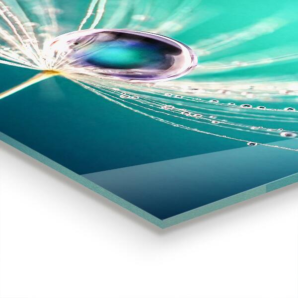 Skleněný panel Pampeliška s kapkou rosy