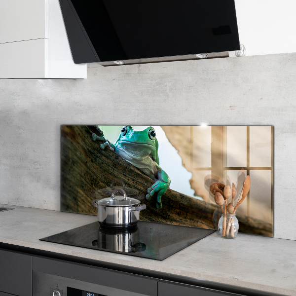 Skleněný panel Portrét africké žáby