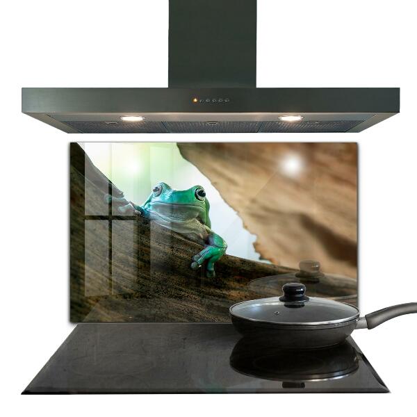 Skleněný panel Portrét africké žáby