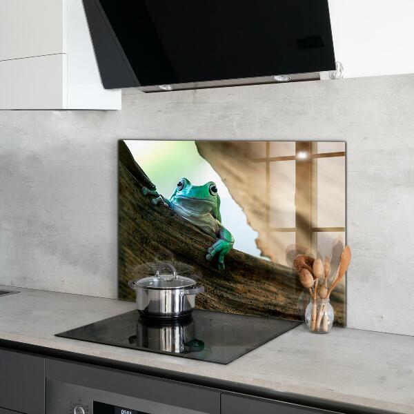 Skleněný panel Portrét africké žáby