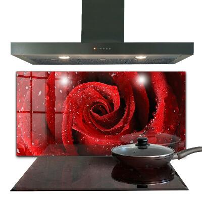 Skleněný panel Kapky rosy na červené růži