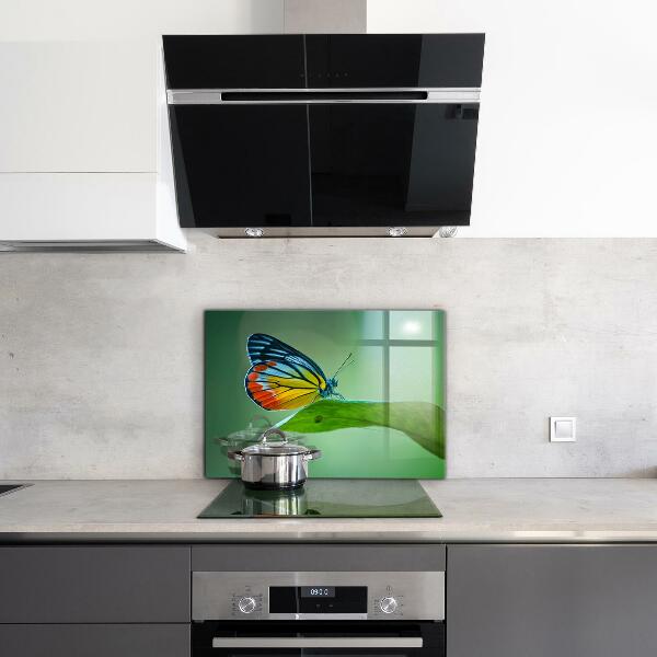 Skleněný panel Motýl na listu