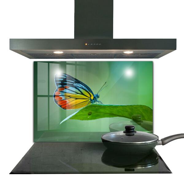 Skleněný panel Motýl na listu