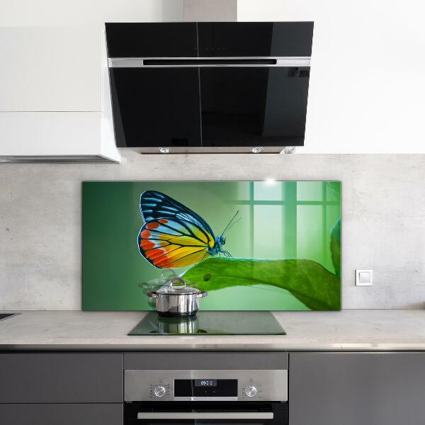 Skleněný panel Motýl na listu