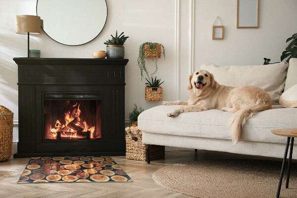 Obdélníkové sklo před krb Krabice s řezaným dřevem