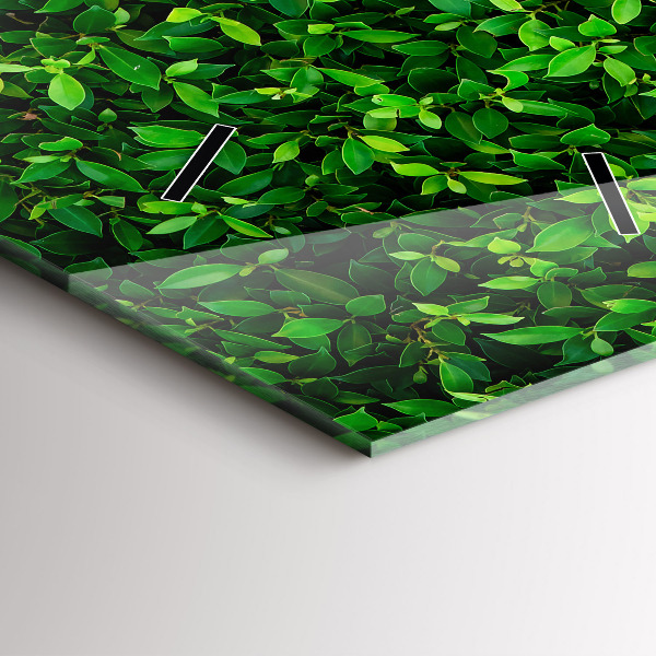 Vertikální skleněné hodiny Listy živého plotu