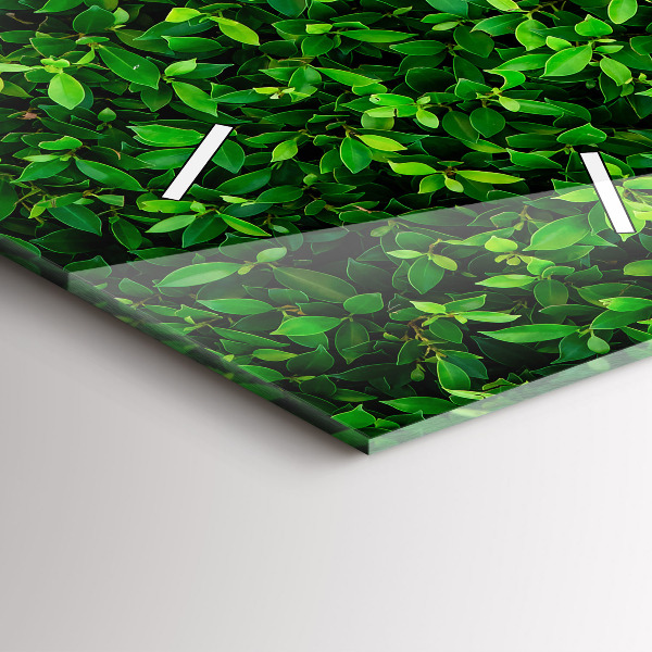 Vertikální skleněné hodiny Listy živého plotu