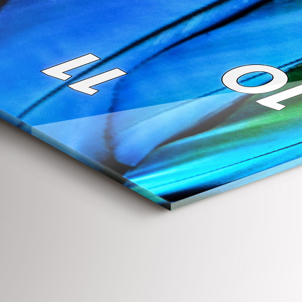 Vertikální skleněné hodiny Barevná ptačí křídla