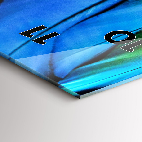 Vertikální skleněné hodiny Barevná ptačí křídla