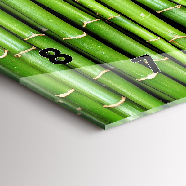 Horizontální hodiny na skle Asijský bambus