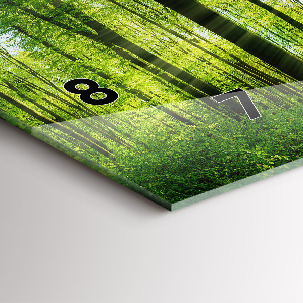 Horizontální hodiny na skle Příroda lesní stromy