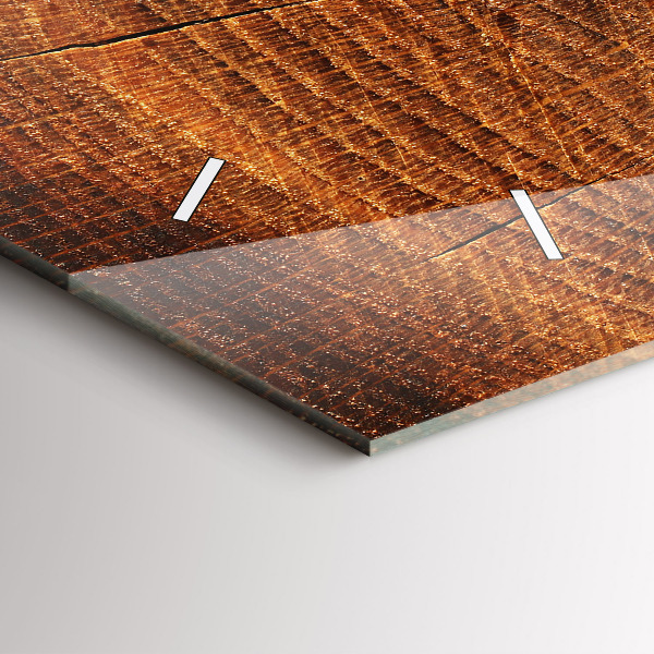 Horizontální hodiny na skle Kmen starého stromu