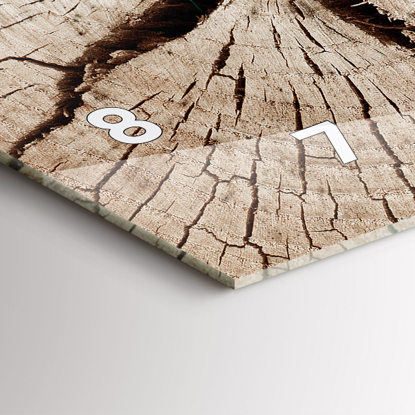 Horizontální hodiny na skle Kmen starého dřeva