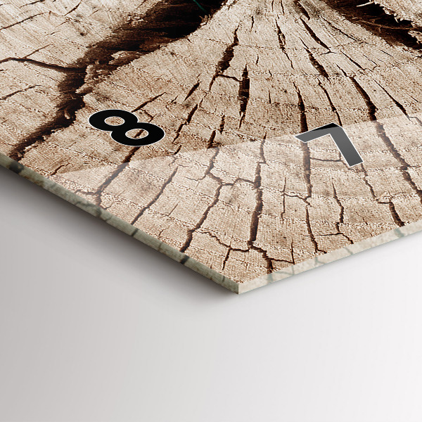 Horizontální hodiny na skle Kmen starého dřeva