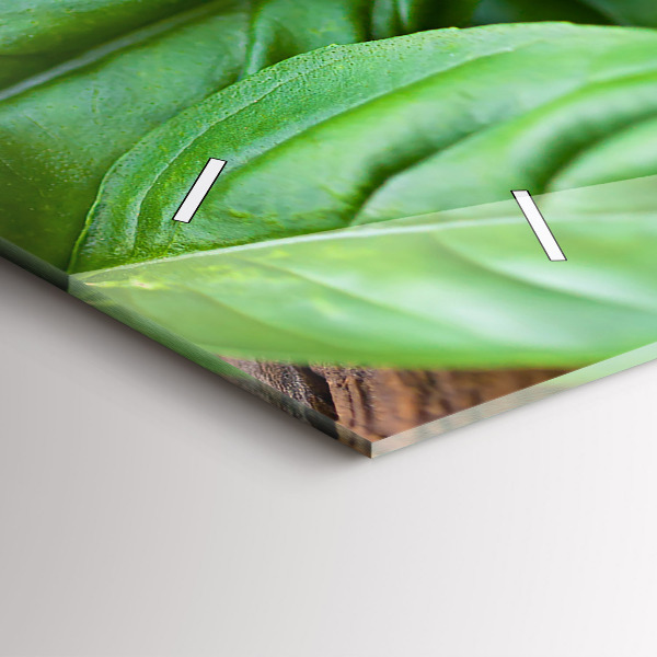 Horizontální skleněné hodiny na stěnu Listy bazalky