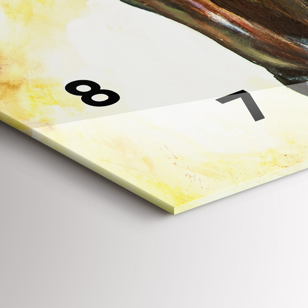 Horizontální skleněné hodiny na stěnu Dva malovaní koně