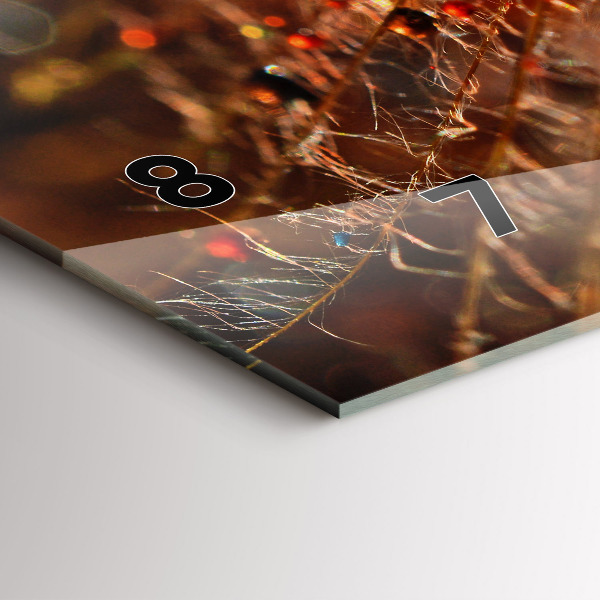 Horizontální hodiny na skle Foukačka s rosou