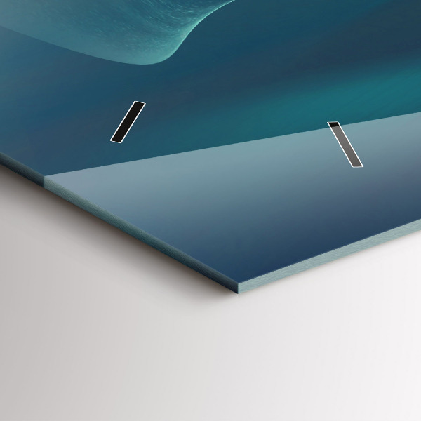 Horizontální hodiny na skle Obrázek létajícího orla