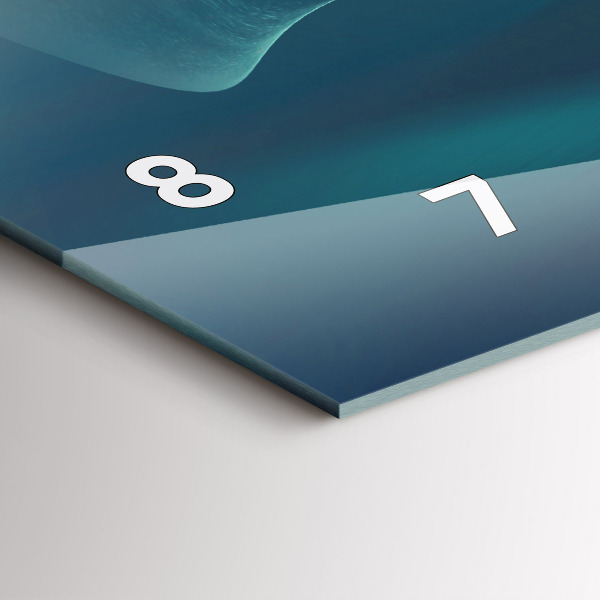 Horizontální hodiny na skle Obrázek létajícího orla