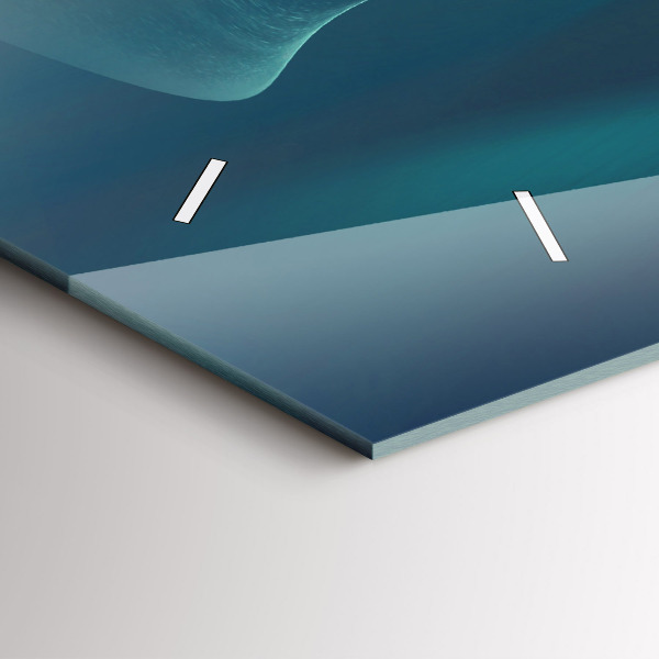 Horizontální hodiny na skle Obrázek létajícího orla